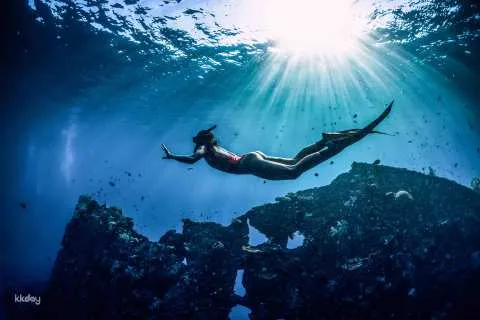 Amed Bali Snorkeling: Japanese Shipwreck & Vienna Beach Full-Day Private or Shared Tour