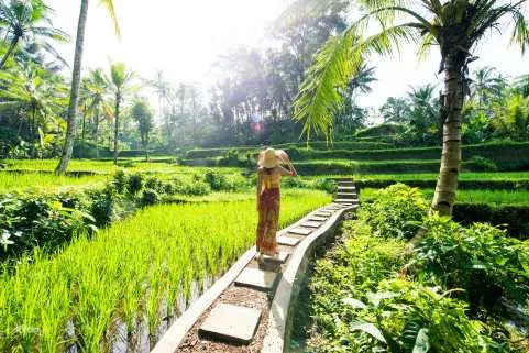 Eat Pray Love Bali Small Group Full-Day Tour
