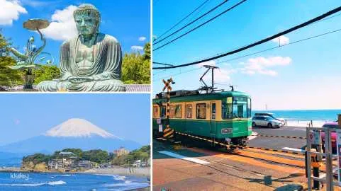 Kamakura Day Tour from Tokyo: The Great Buddha of Kamakura, Enoden Train, Kamakura High School | Including Enoden Ticket | Japan