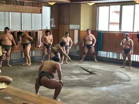 [Guaranteed Departure for 1 Traveler] Sumo Morning Practice Tour (Japan's Traditional National Sport) | Tokyo, Japan