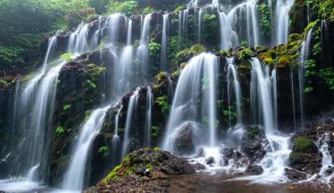 Munduk Waterfall Trek: Banyu Wana & Sekumpul with Optional Lunch | Indonesia