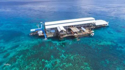 Nusa Penida Cruise by Quicksilver Bali | Indonesia