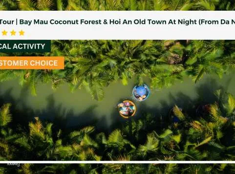 Day Tour from Da Nang: Bay Mau Coconut Forest & Hoi An Old Town at Night | Vietnam