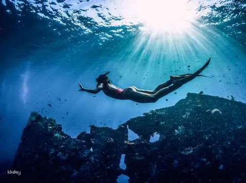 Amed Bali Snorkeling: Japanese Shipwreck & Vienna Beach Full-Day Private or Shared Tour