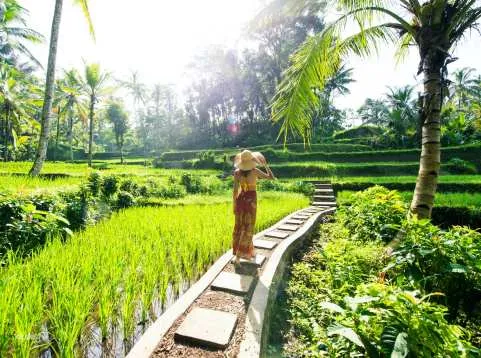 Eat Pray Love Bali Small Group Full-Day Tour