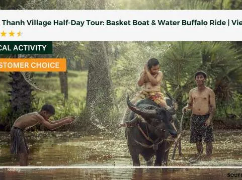 Cam Thanh Village Half-Day Tour: Basket Boat & Water Buffalo Ride | Vietnam