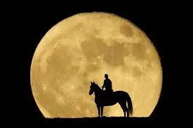 Romantic Full Moon Horse Ride